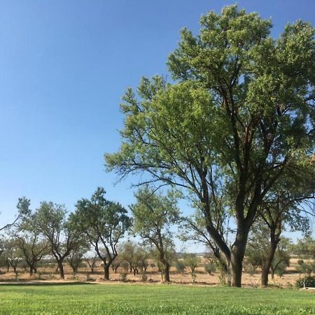 Finca El Relax Colmenar de Oreja Екстериор снимка