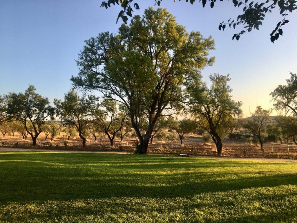 Finca El Relax Colmenar de Oreja Екстериор снимка