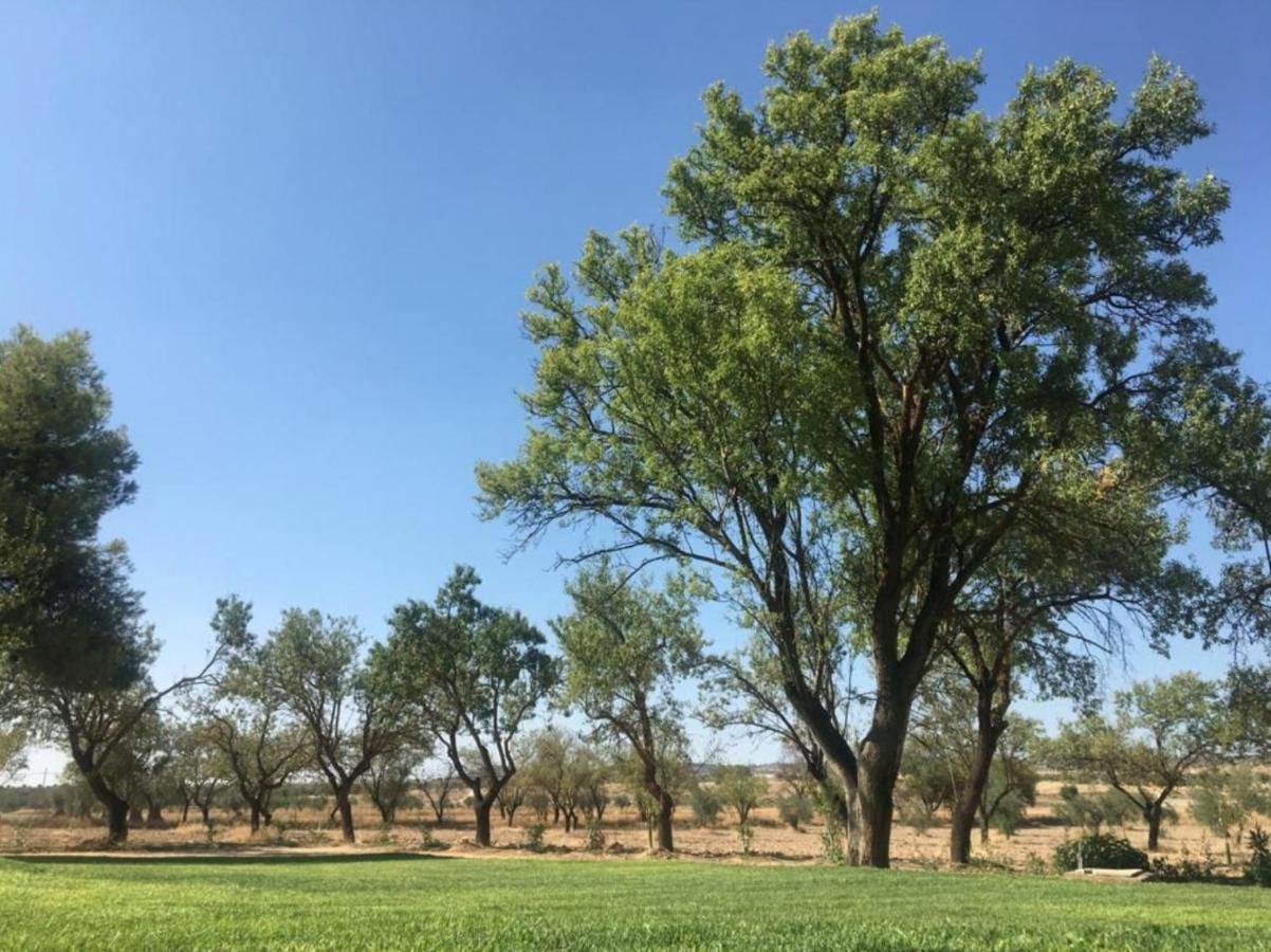Finca El Relax Colmenar de Oreja Екстериор снимка